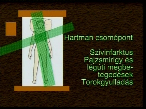 Hartmann zónák csomópontja a mellkasi részen