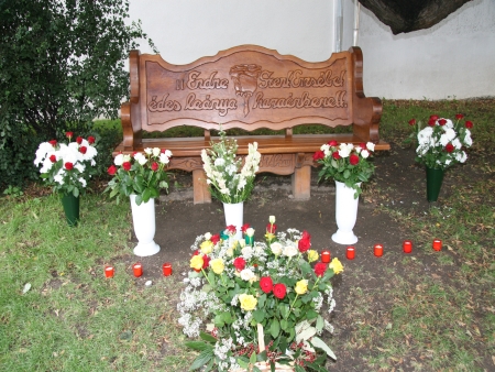 Sarospatak 2008 (166).JPG