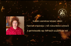 Kutyám szemölcse teljesen eltűnt – Fiamnak a lipómája 1 hét múlva felére csökkent