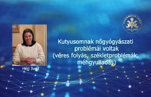 Kutyusomnak nőgyógyászati problémái voltak (véres folyás, székletproblémák, méhgyulladás) - Héjj Ivett