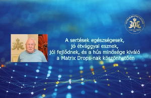 A sertések egészségesek, jó étvággyal esznek, jól fejlődnek és a hús minősége kiváló a Matrix Drops-nak köszönhetően