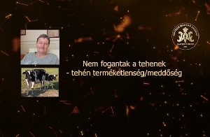 Nem fogantak a tehenek – Tehén terméketlenség – meddőség
